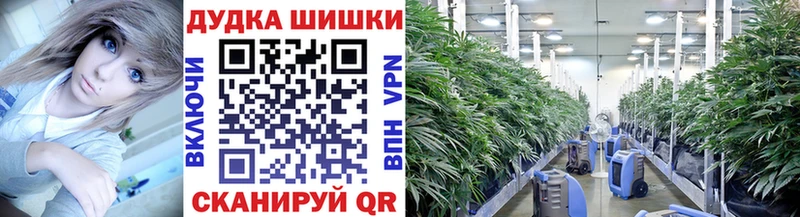 Виды наркотиков купить Нестеров Галлюциногенные грибы  Альфа ПВП  Меф мяу мяу  Конопля  Героин  Гашиш 