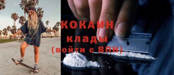 соль курить ск Бородино