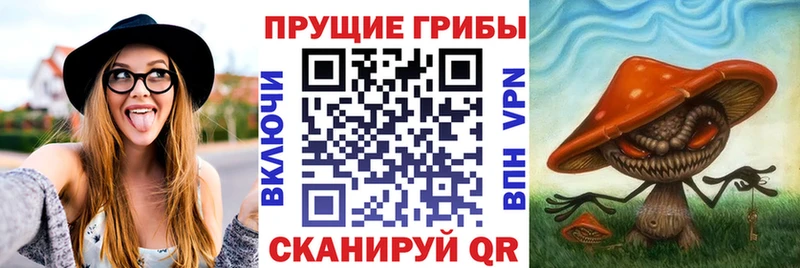 KRAKEN ссылки  Нестеров  Галлюциногенные грибы MAGIC MUSHROOMS  где можно купить наркотик 